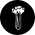 Apio